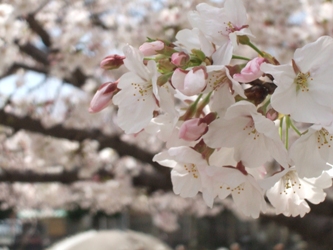 DSCF2366.JPG