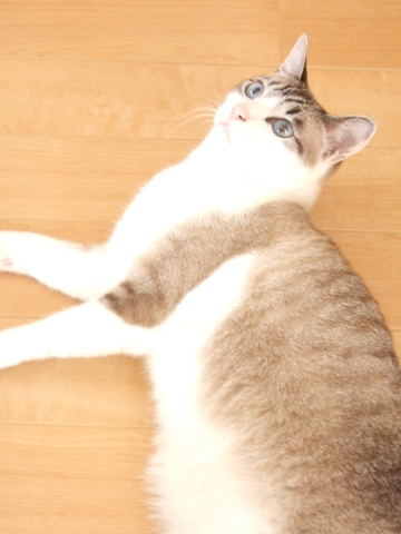 DSCF3720.JPG